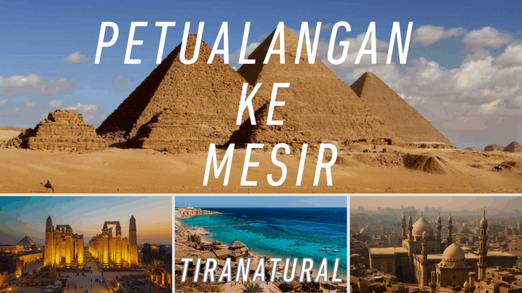 Petualangan Ke Mesir