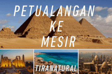 Petualangan Ke Mesir