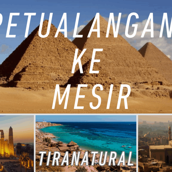 Petualangan Ke Mesir