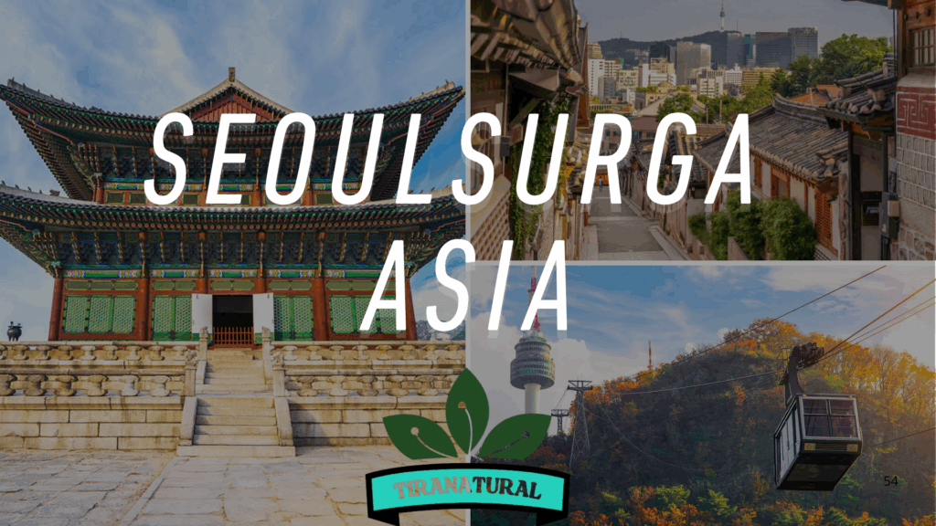 SeoulSurga