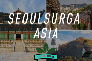 SeoulSurga