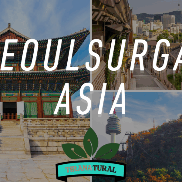 Seoul Surga Asia