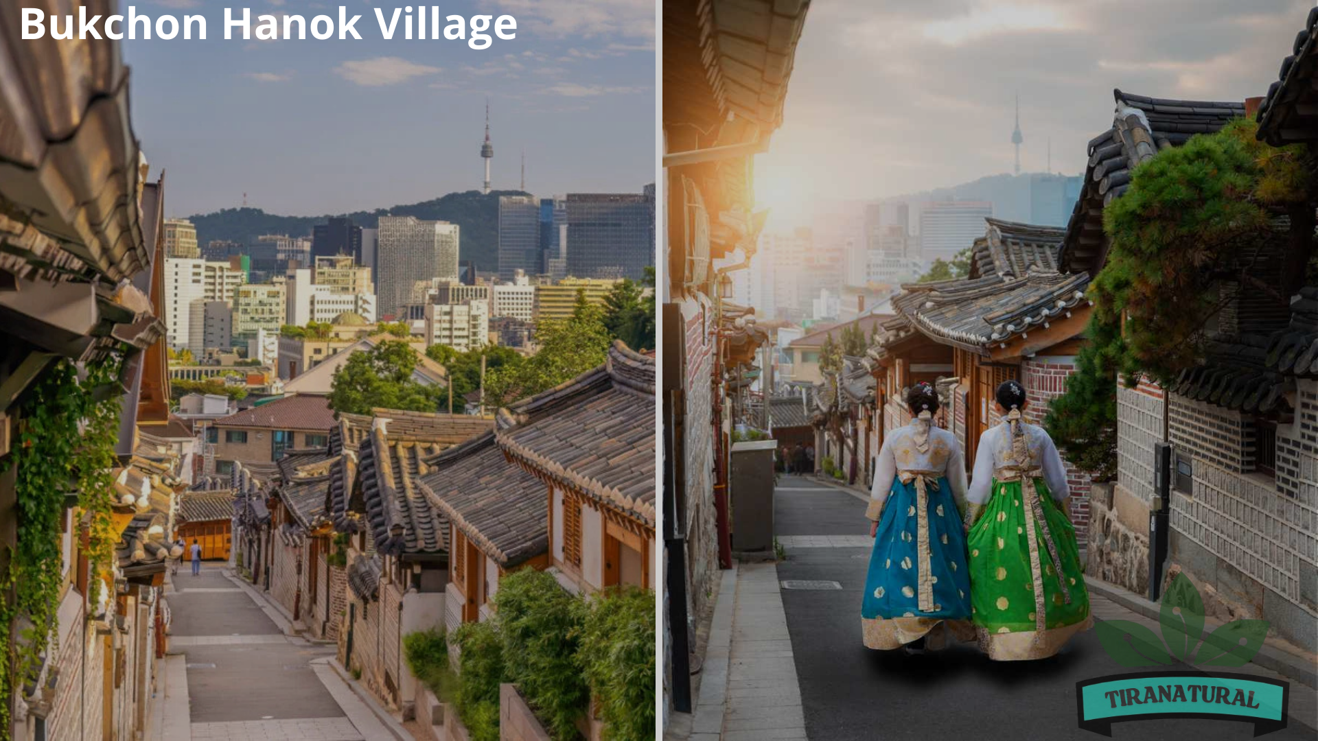 Seoul Surga Asia