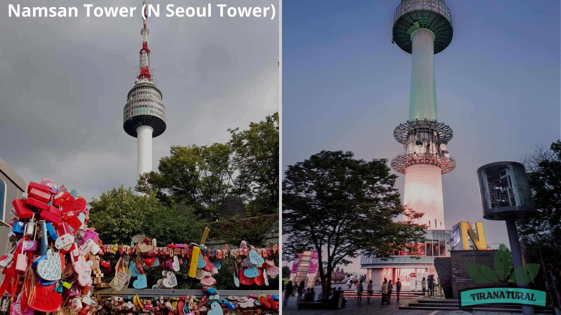 Seoul Surga Asia
