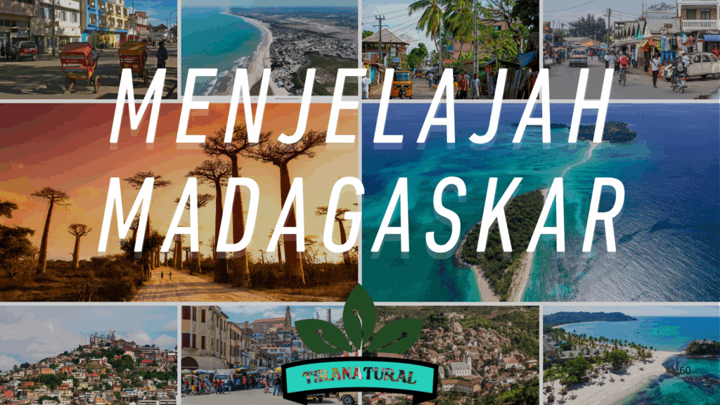 Menjelajah Madagaskar