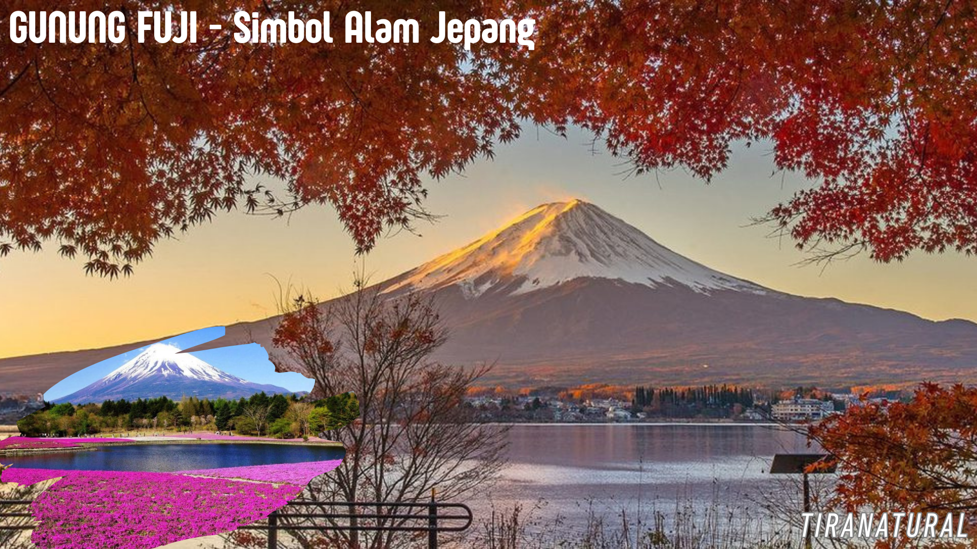 Menjelajahi Keindahan Jepang