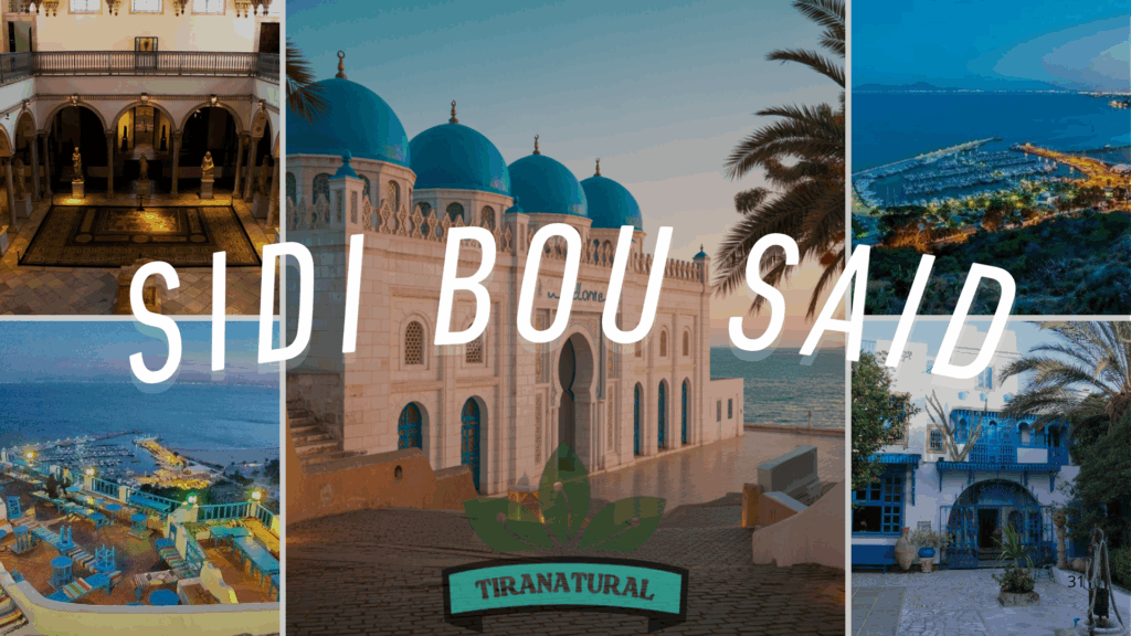 Sidi Bou Said