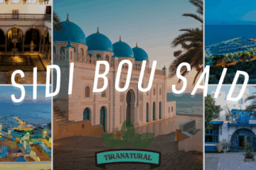 Sidi Bou Said