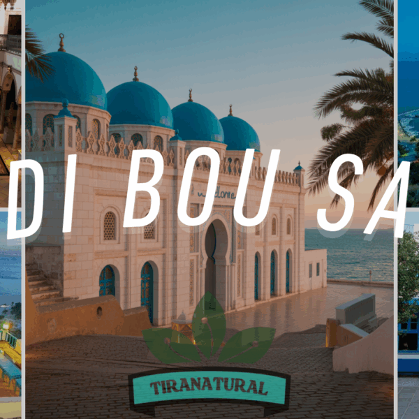 Sidi Bou Said