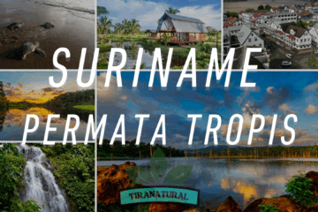 Suriname Permata Tropis