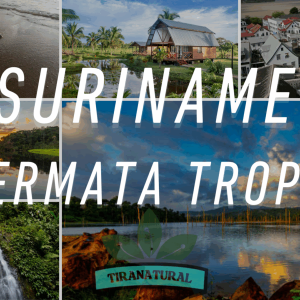 Suriname Permata Tropis