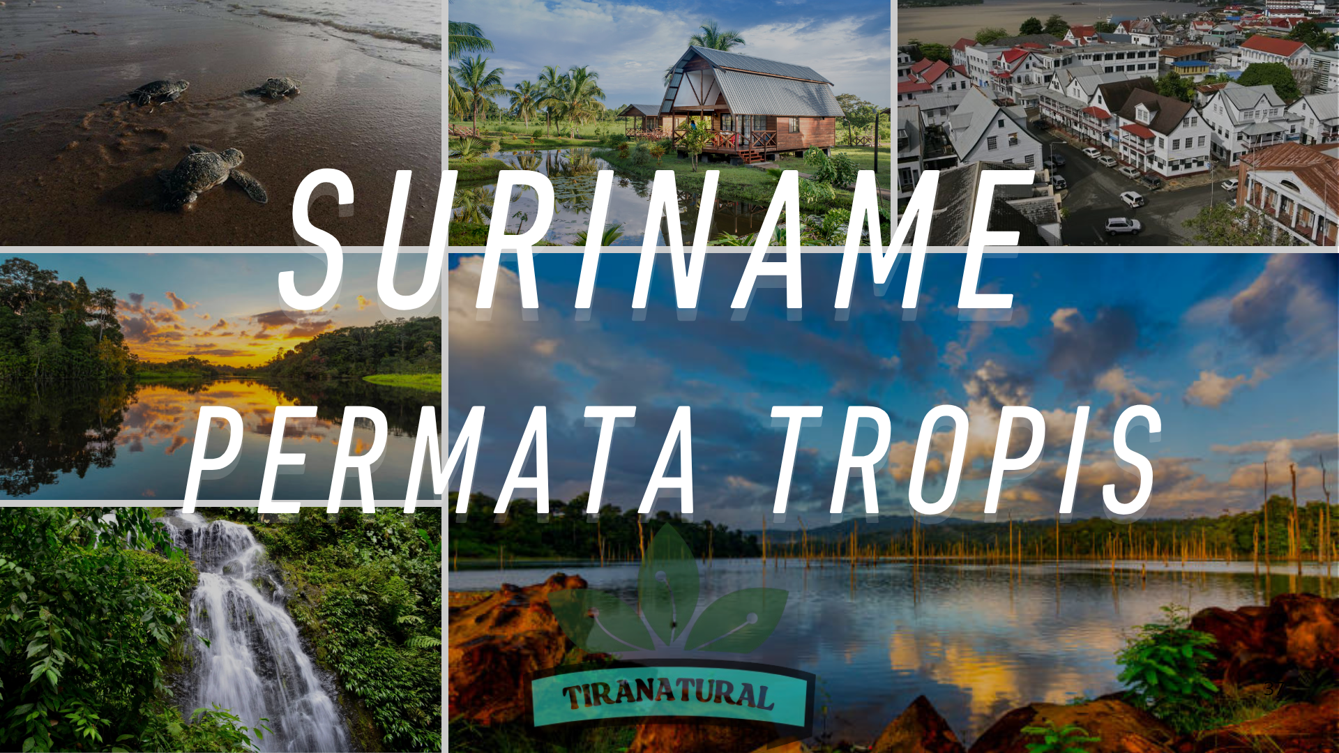 Suriname Permata Tropis