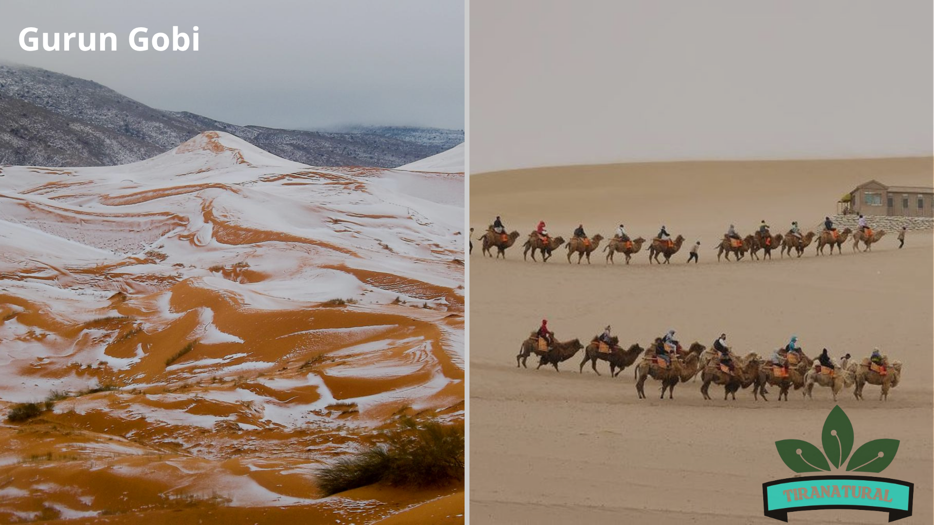 Pesona Keindahan Mongolia