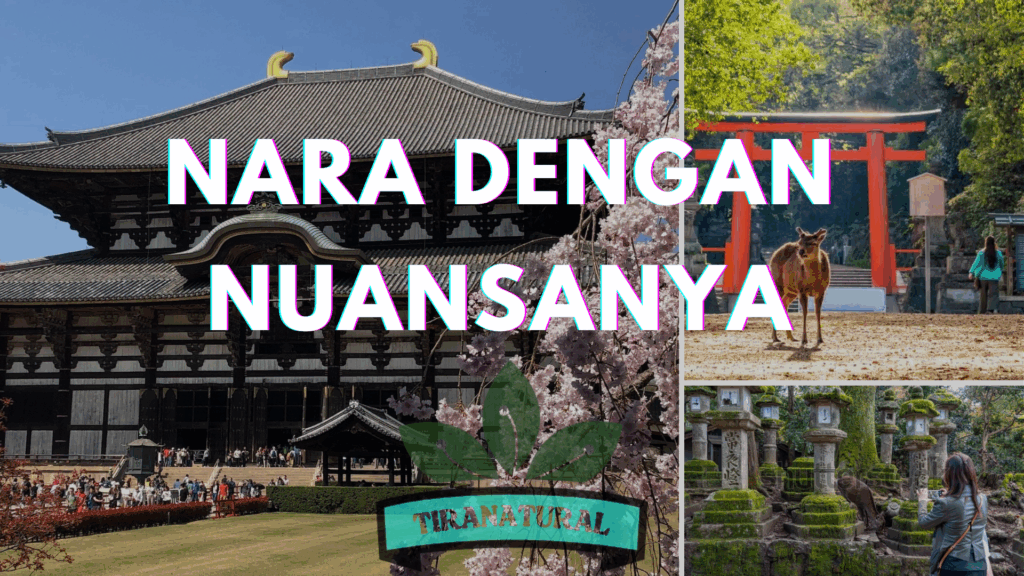 Nara Dengan Nuansanya
