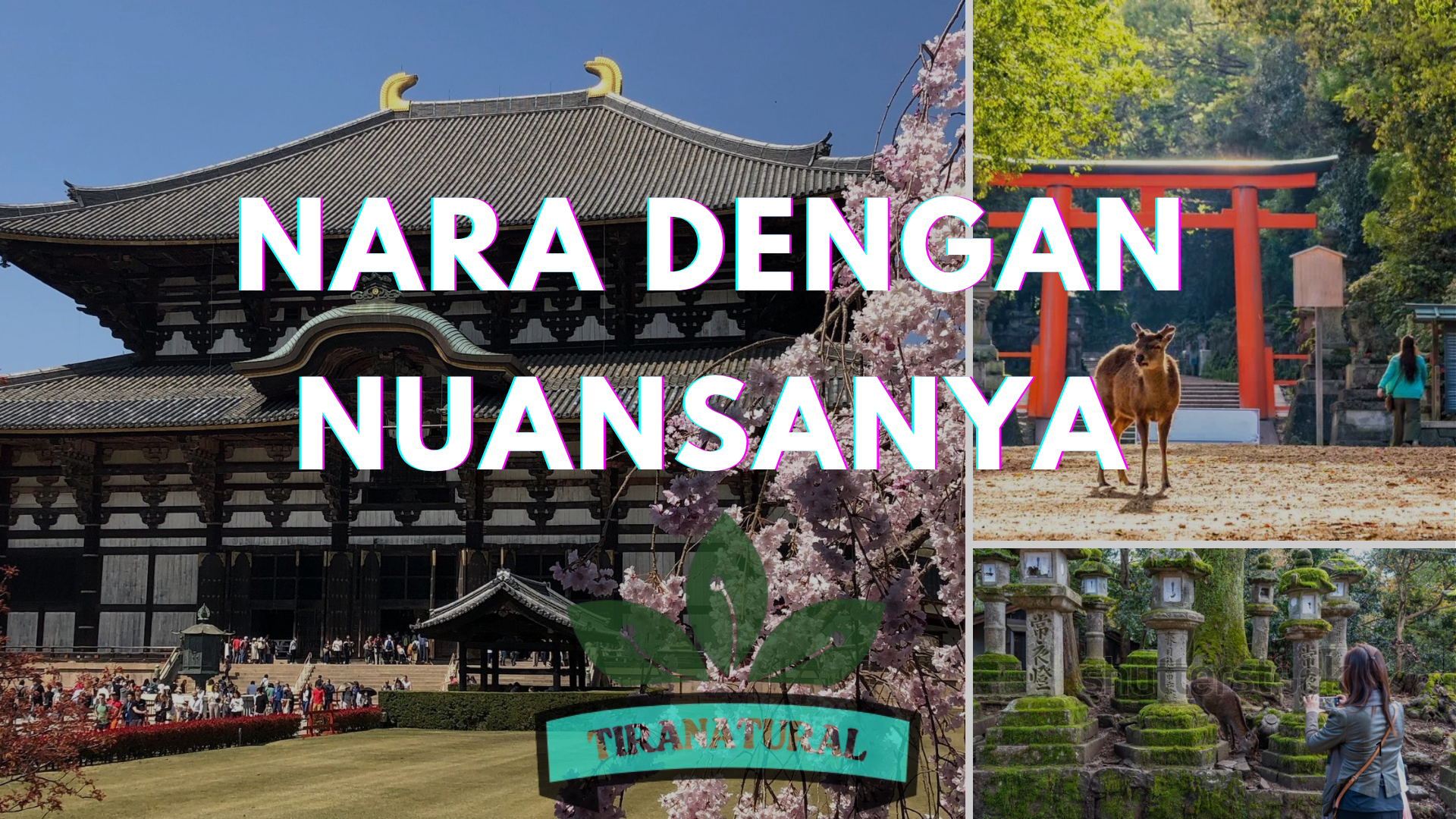 Nara Dengan Nuansanya