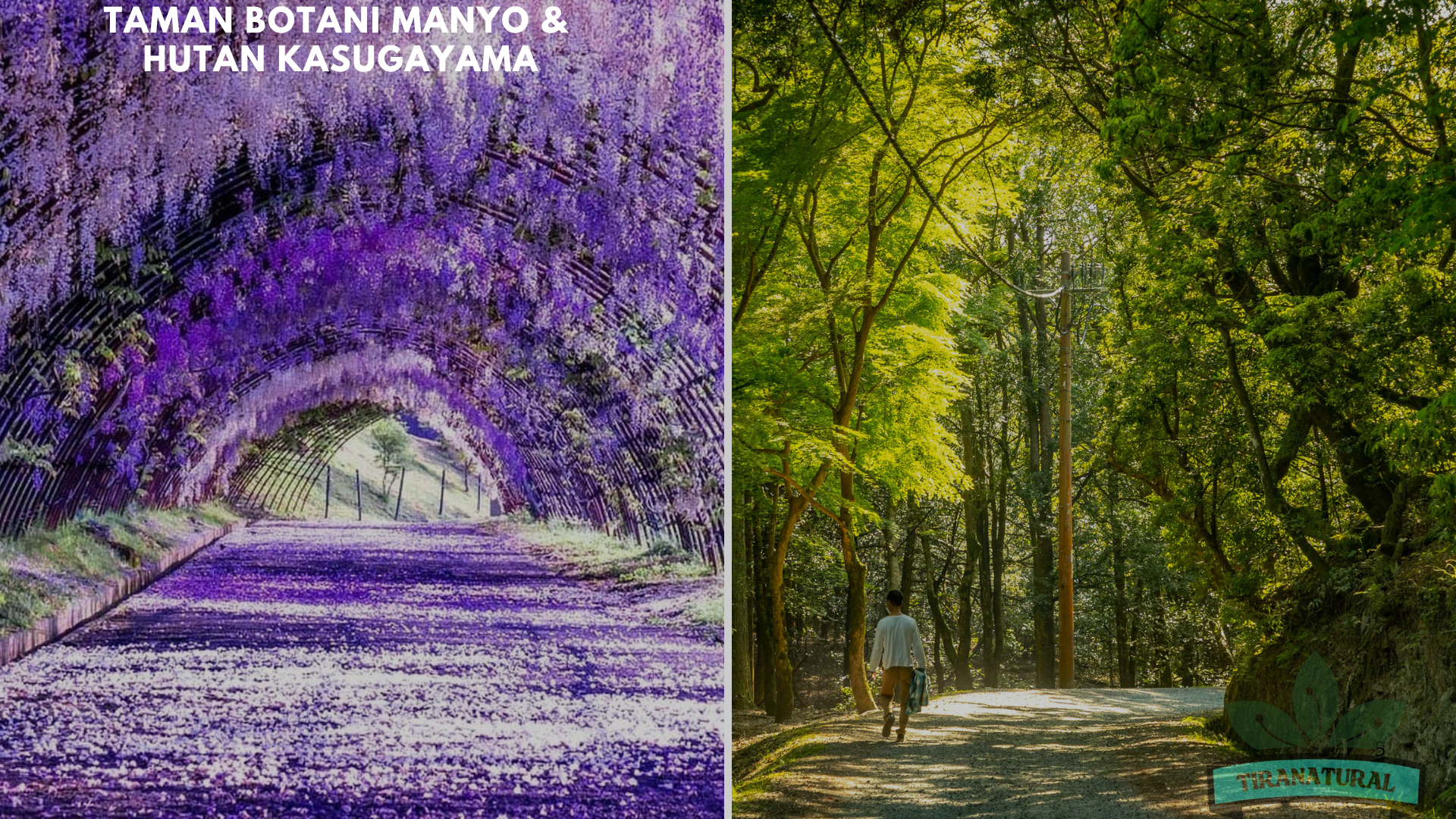 Nara Dengan Nuansanya